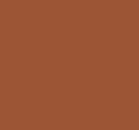 Side Tie Cut Out Swimsuit - Brown