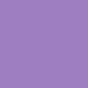 Saint Lucia Lavender Micro Bikini Set